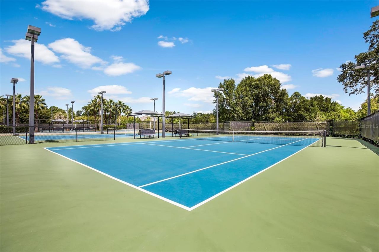 12003 San Chaliford Court, Tampa, FL 33626 Photo