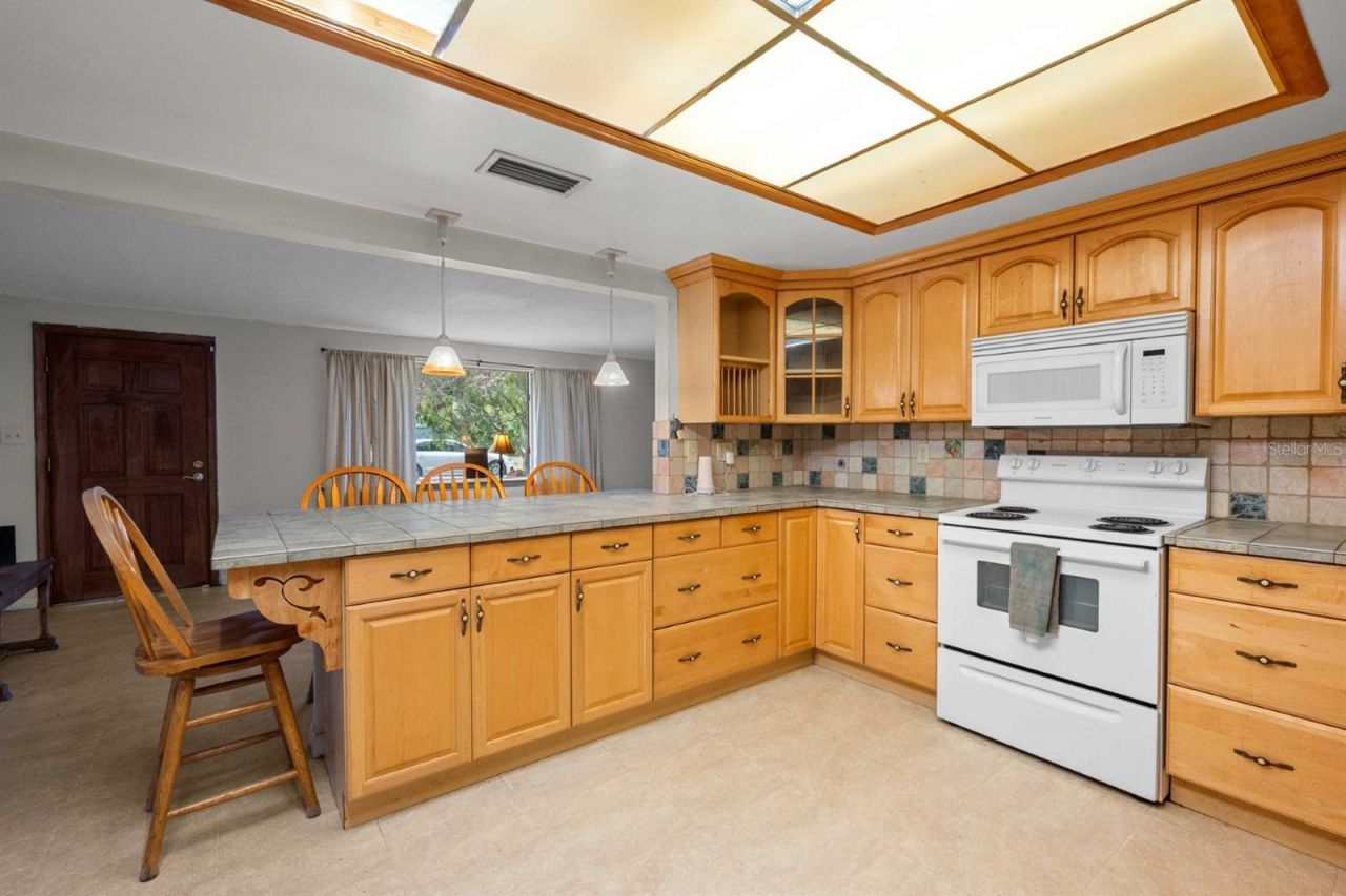 924 Valmar Street, Brandon, FL 33511 Photo