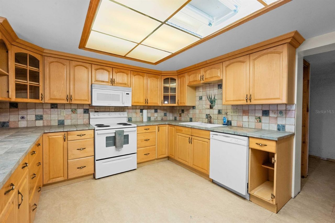 924 Valmar Street, Brandon, FL 33511 Photo