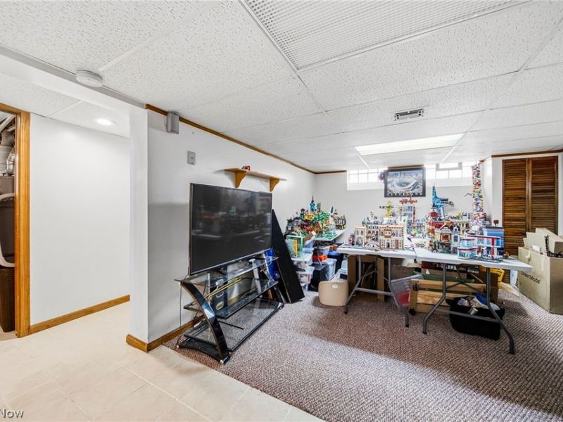 1714 E 294th Street, Wickliffe, OH 44092 Photo 22