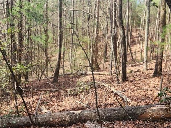 TBD Cane Creek Church Road , McGrady, NC 28649