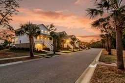 1613 Cultivation photo 4