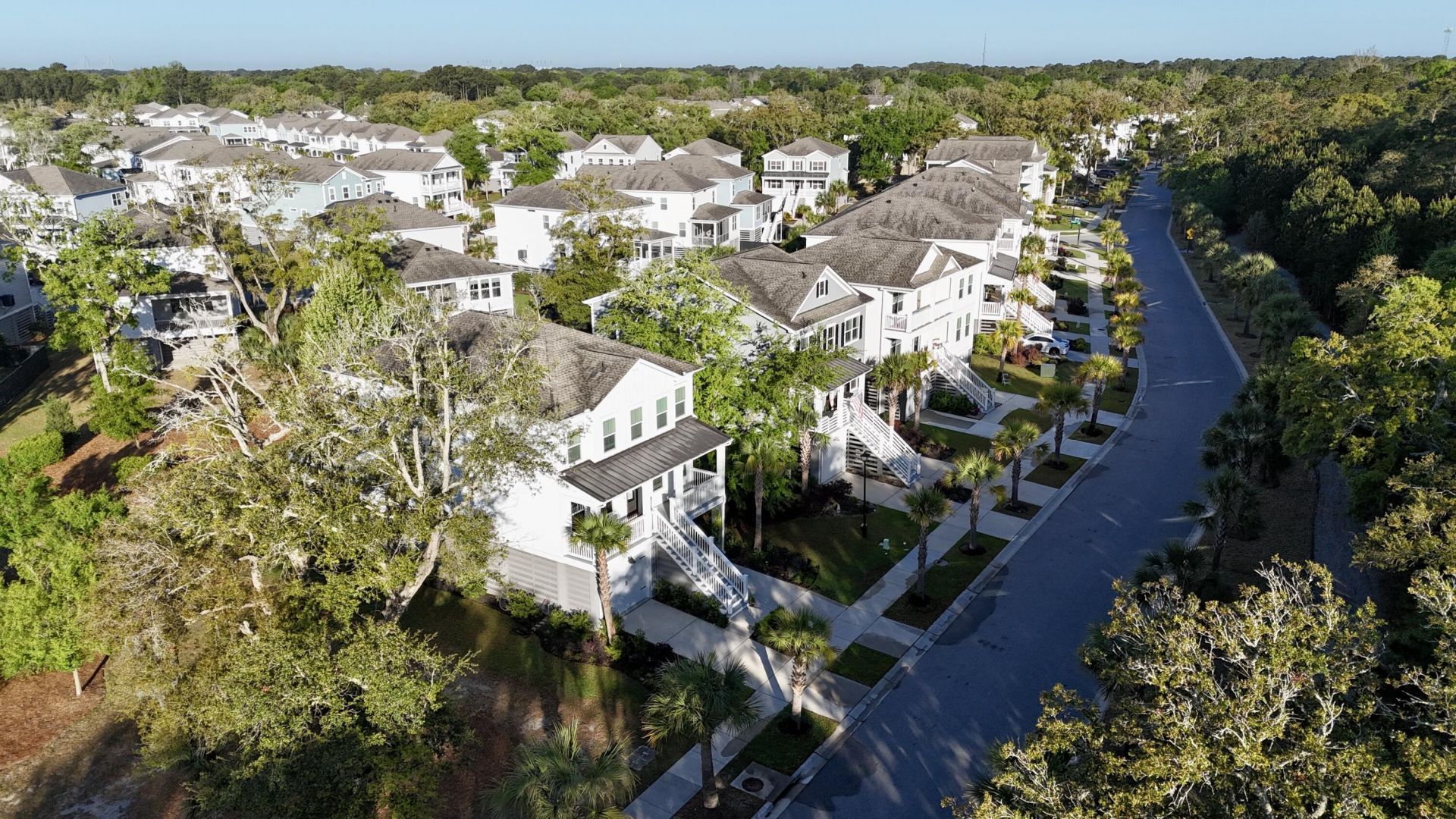 1613 Cultivation Photo 4