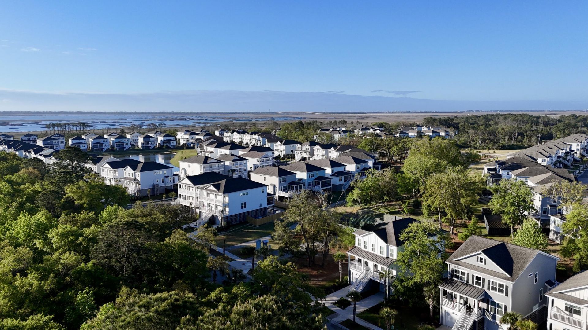 1613 Cultivation Photo 5