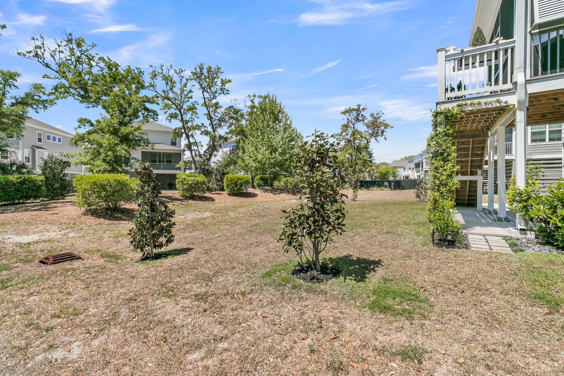 1613 Cultivation Photo 57