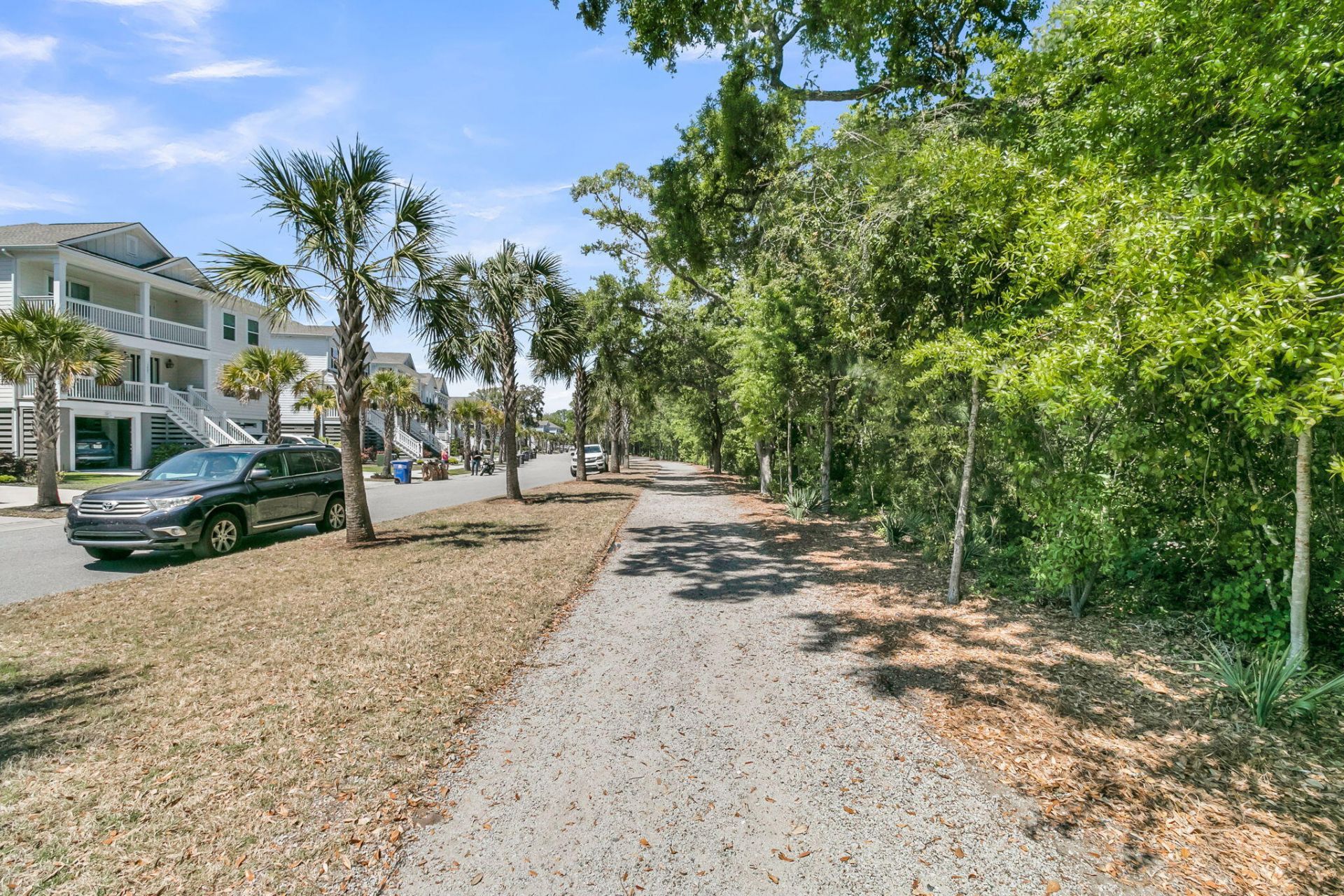 1613 Cultivation Photo 58