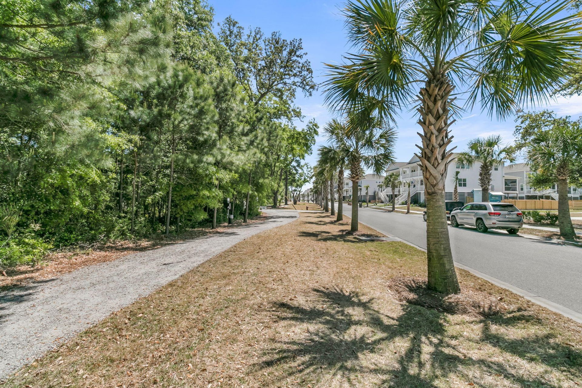 1613 Cultivation Photo 59