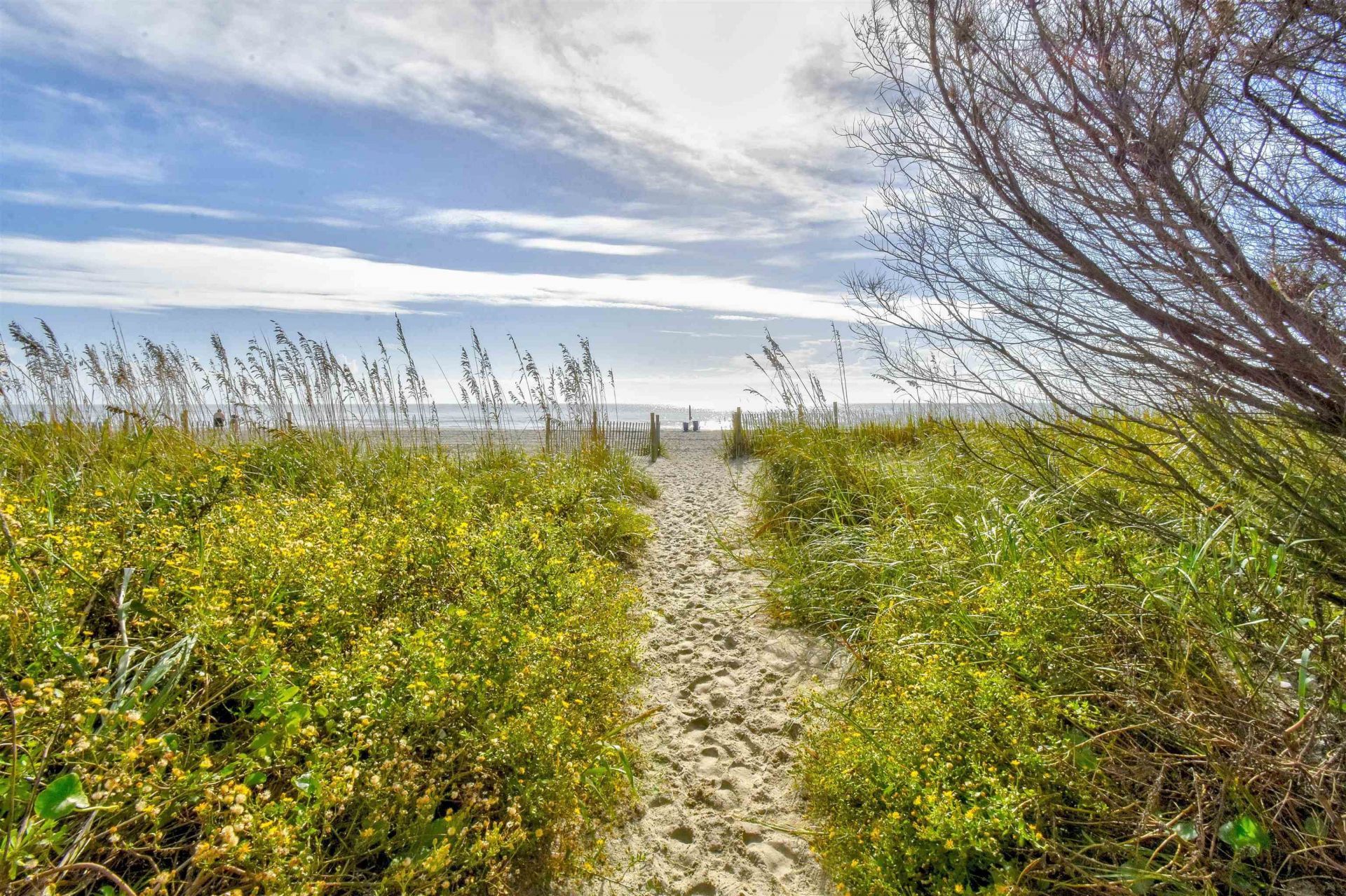 2401 S Ocean Blvd. Photo 33