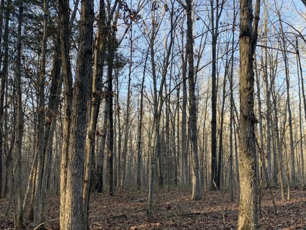 1 Summertown Hwy , Summertown, TN 38483