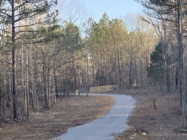 3 Summertown Hwy , Summertown, TN 38483