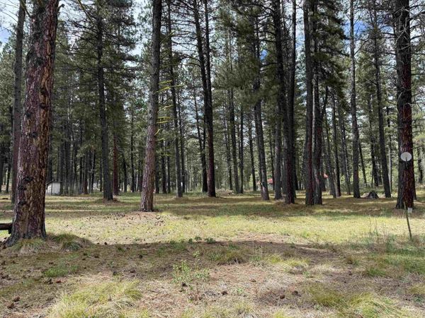 5 Ranft Dr, Idaho City, ID 83631