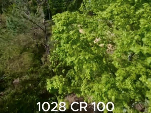 TBD Cr 100, Oxford, MS 38655