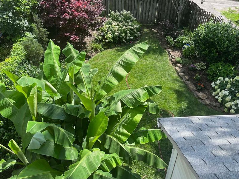 213 E Blake Avenue, Columbus, OH 43202 Photo 27