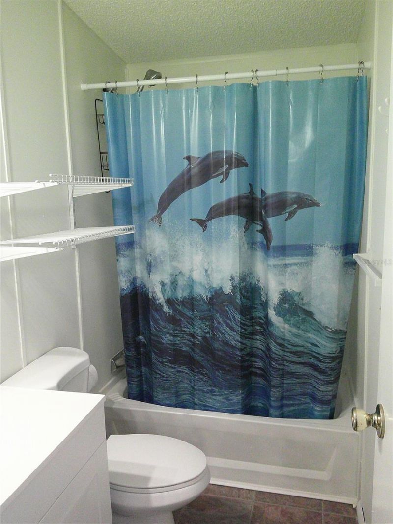 3205 Hickory Drive , Wesley Chapel, FL 33543 Photo