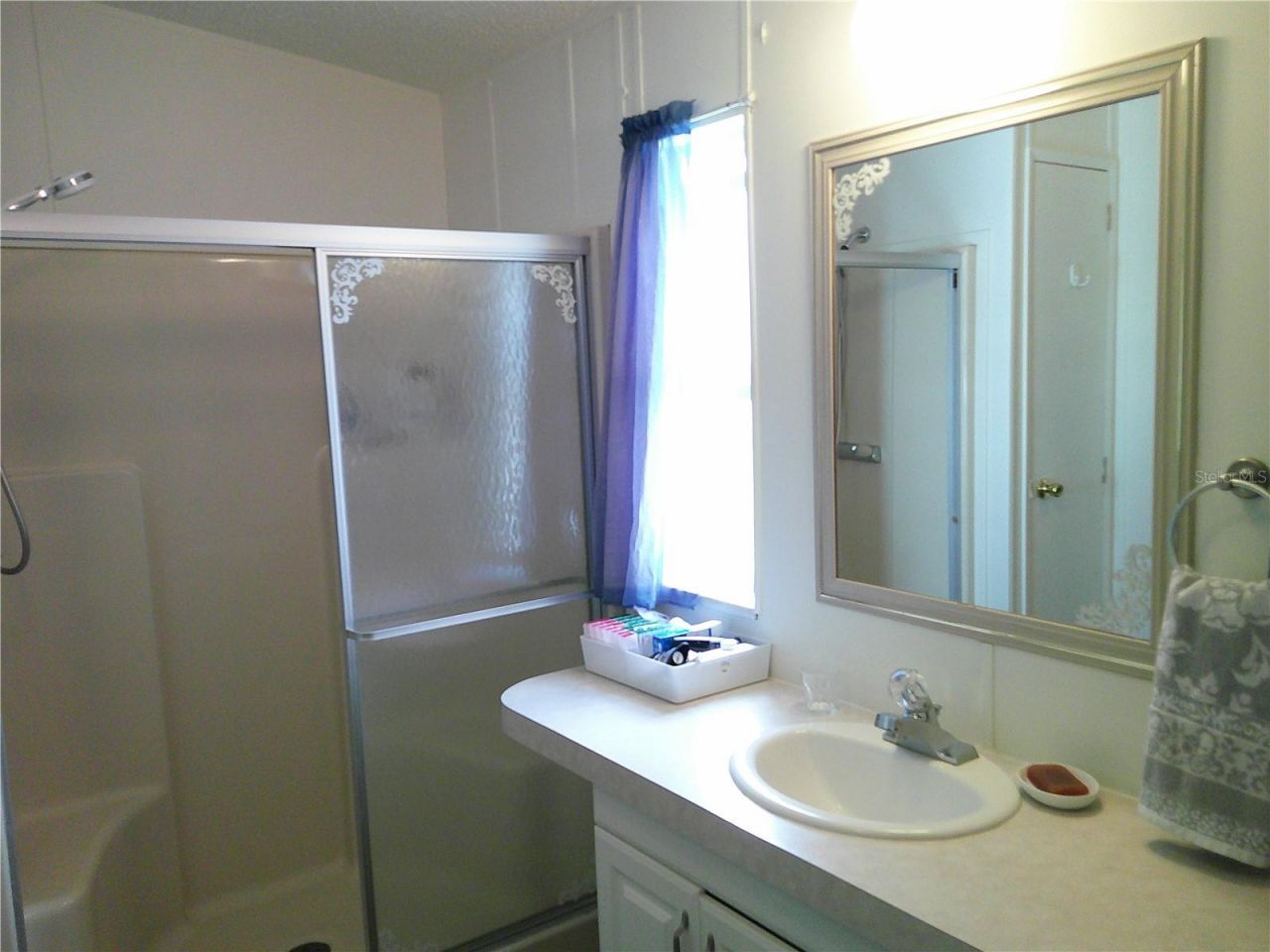 3205 Hickory Drive , Wesley Chapel, FL 33543 Photo