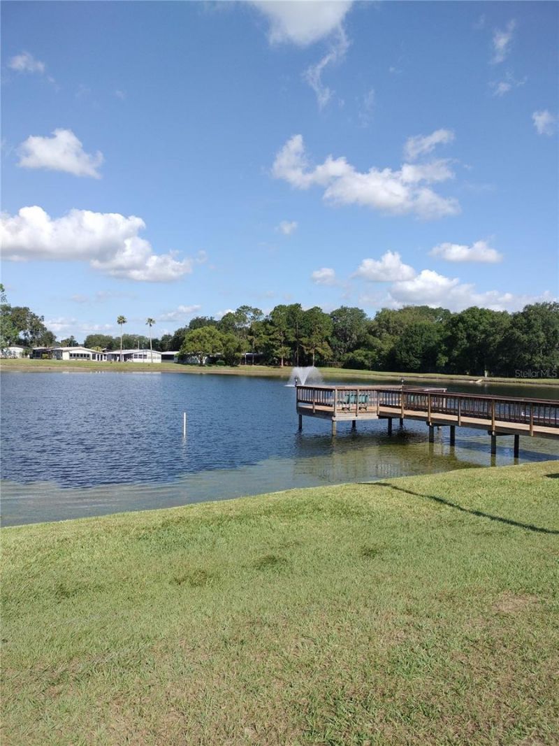 3205 Hickory Drive , Wesley Chapel, FL 33543 Photo