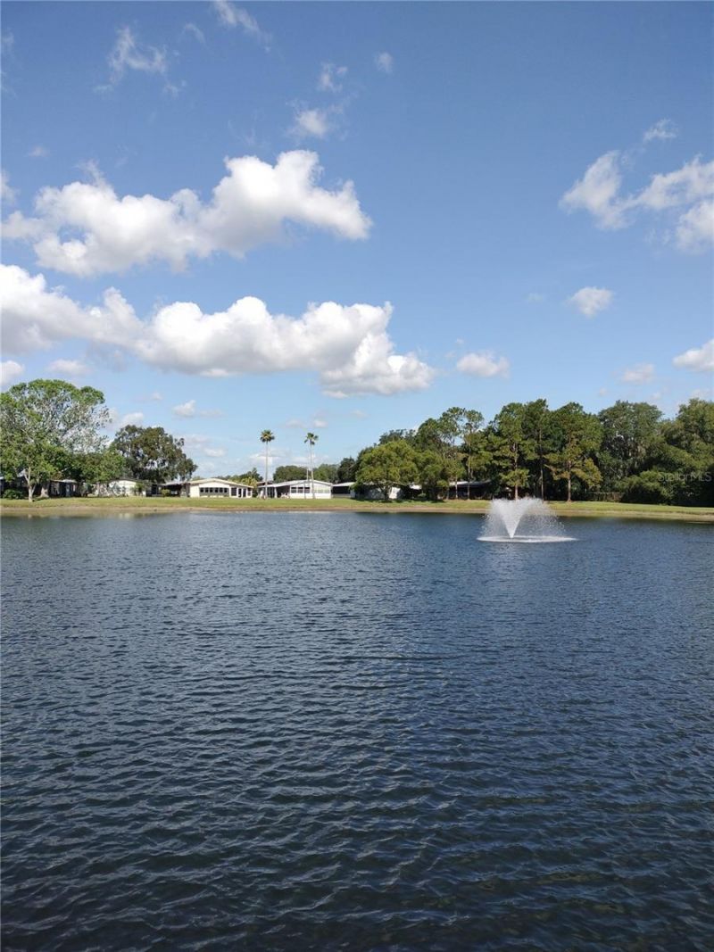 3205 Hickory Drive , Wesley Chapel, FL 33543 Photo