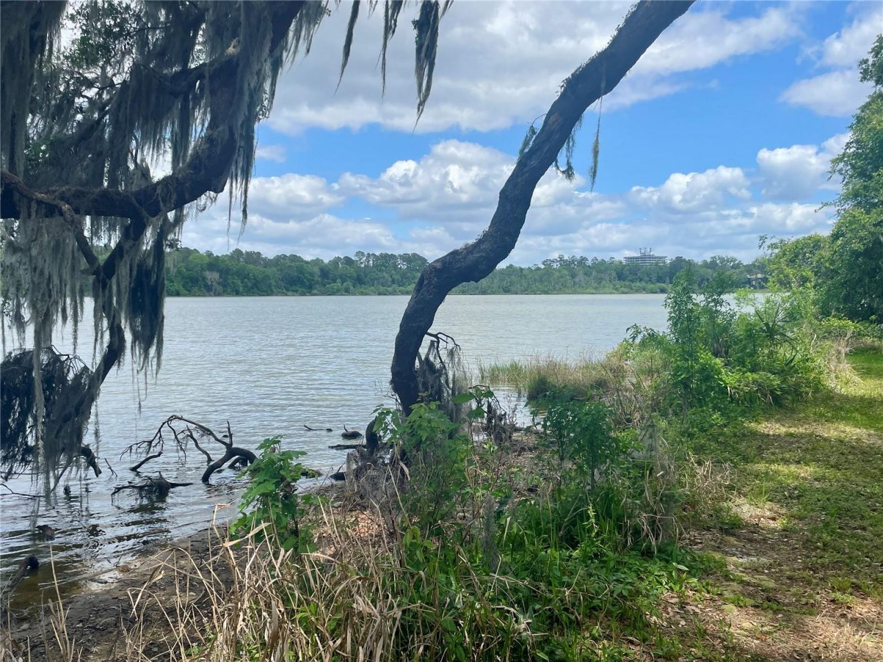 1800 SW 35th Place , Gainesville, FL 32608 Photo