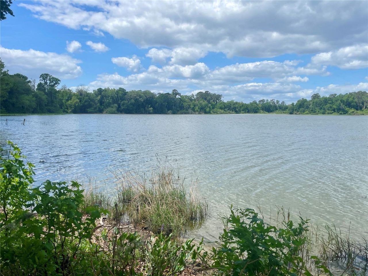 1800 SW 35th Place , Gainesville, FL 32608 Photo