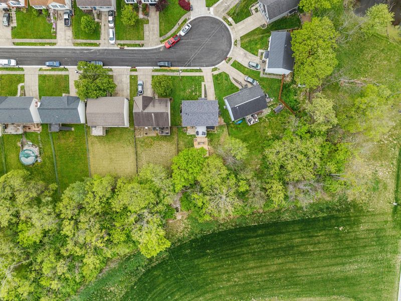 3769 Luke Lane, Elsmere, KY 41018 Photo 28