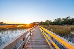 814 Curved Creek Court photo 4