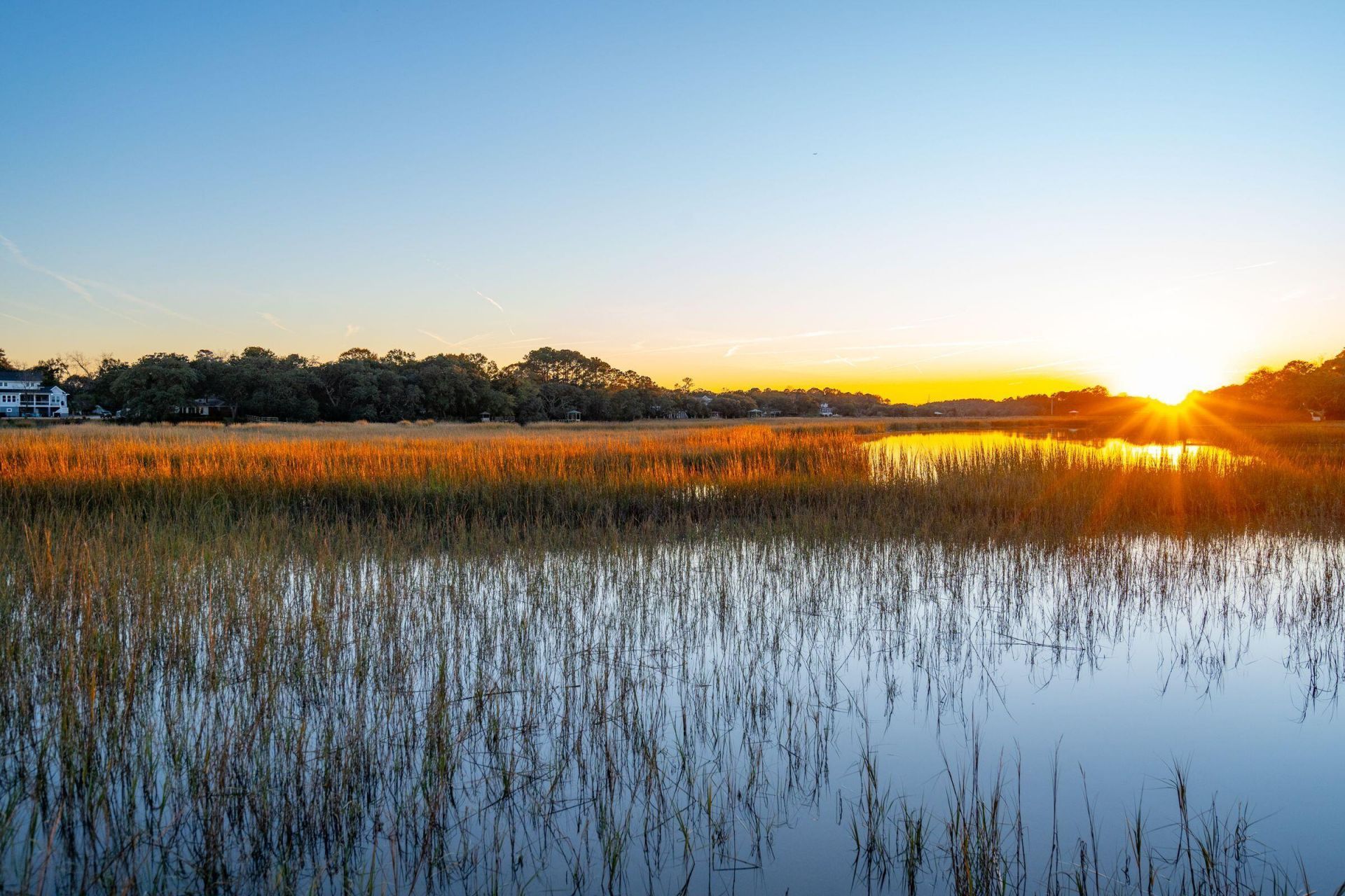 814 Curved Creek Court Photo 5