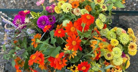 Russell Blvd, Davis, CA 95616 Photo