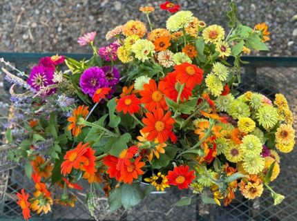 Russell Blvd, Davis, CA 95616 Photo