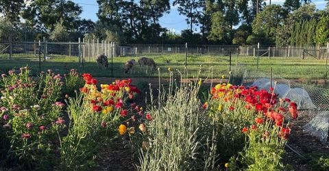 Russell Blvd, Davis, CA 95616 Photo