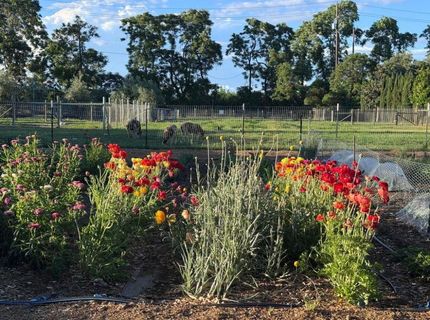 Russell Blvd, Davis, CA 95616 Photo