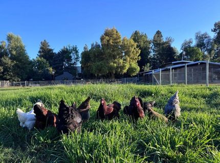 Russell Blvd, Davis, CA 95616 Photo