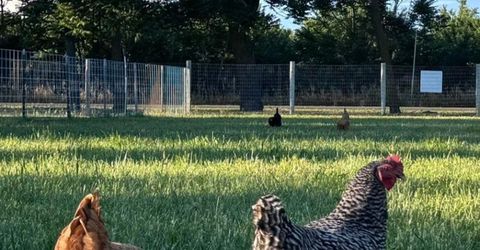 Russell Blvd, Davis, CA 95616 Photo