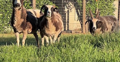 Russell Blvd, Davis, CA 95616 Photo