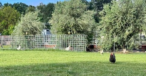 Russell Blvd, Davis, CA 95616 Photo