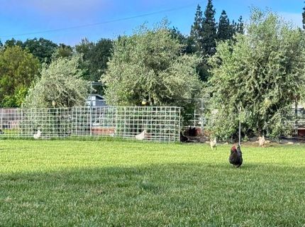 Russell Blvd, Davis, CA 95616 Photo