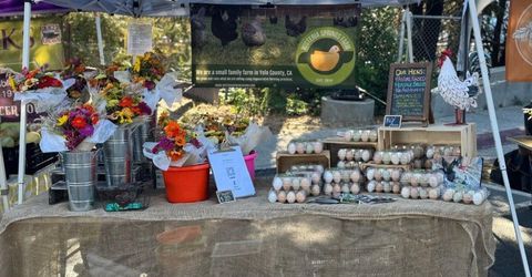 Russell Blvd, Davis, CA 95616 Photo