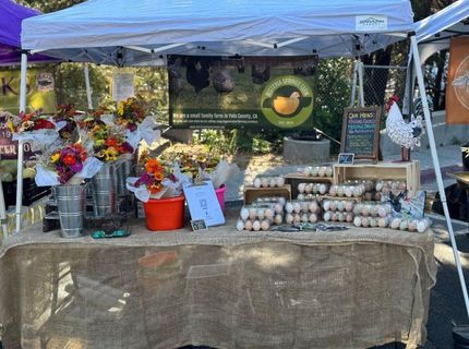 Russell Blvd, Davis, CA 95616 Photo