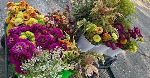 Russell Blvd, Davis, CA 95616 Photo