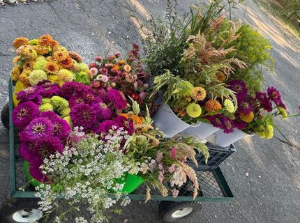 Russell Blvd, Davis, CA 95616 Photo