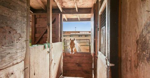 Russell Blvd, Davis, CA 95616 Photo