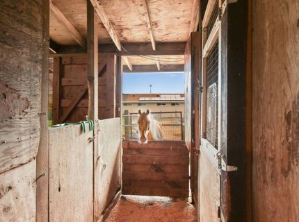 Russell Blvd, Davis, CA 95616 Photo