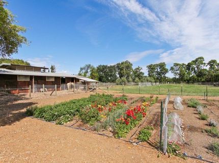 Russell Blvd, Davis, CA 95616 Photo