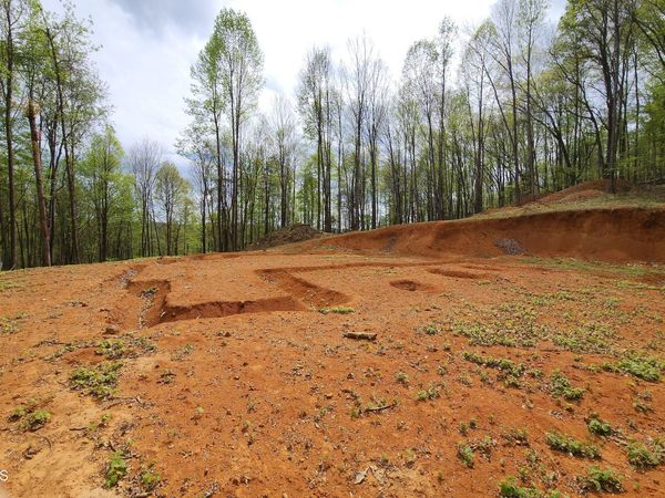 345 Greentree Drive, Blountville, TN 37617