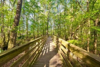 164 Ashley Bluffs Road Photo 47