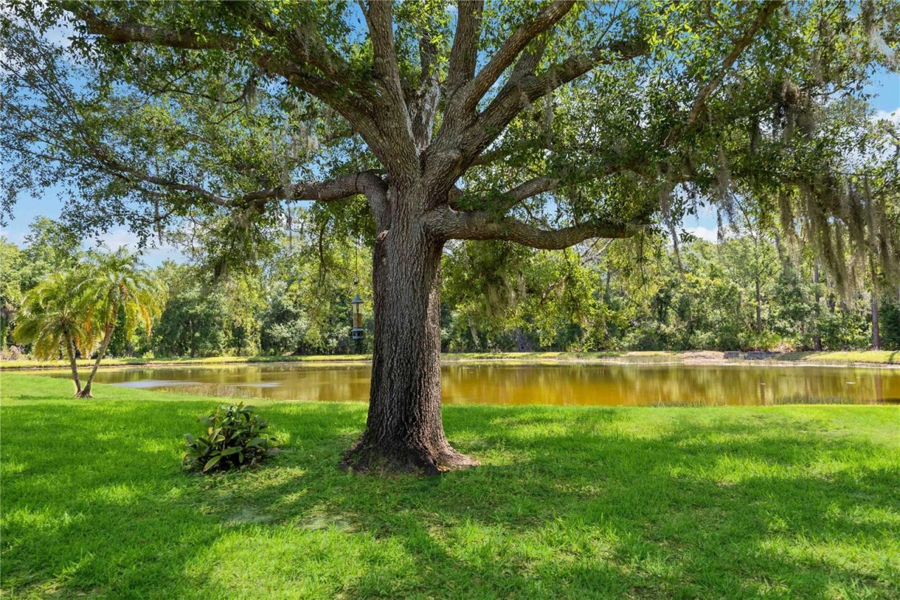 6446 Barberry Court, Lakewood Ranch, FL 34202 Photo