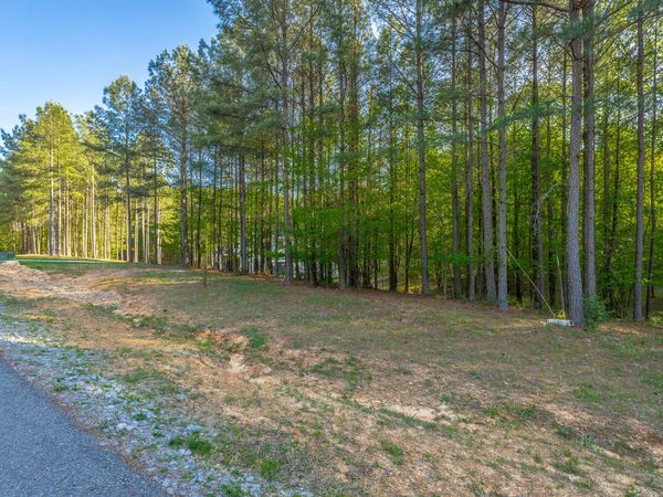 295 Bear Trace Drive, Jasper, TN 37347