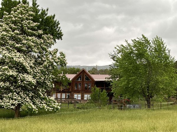 19795 High Park Road, Cedaredge, CO 81413