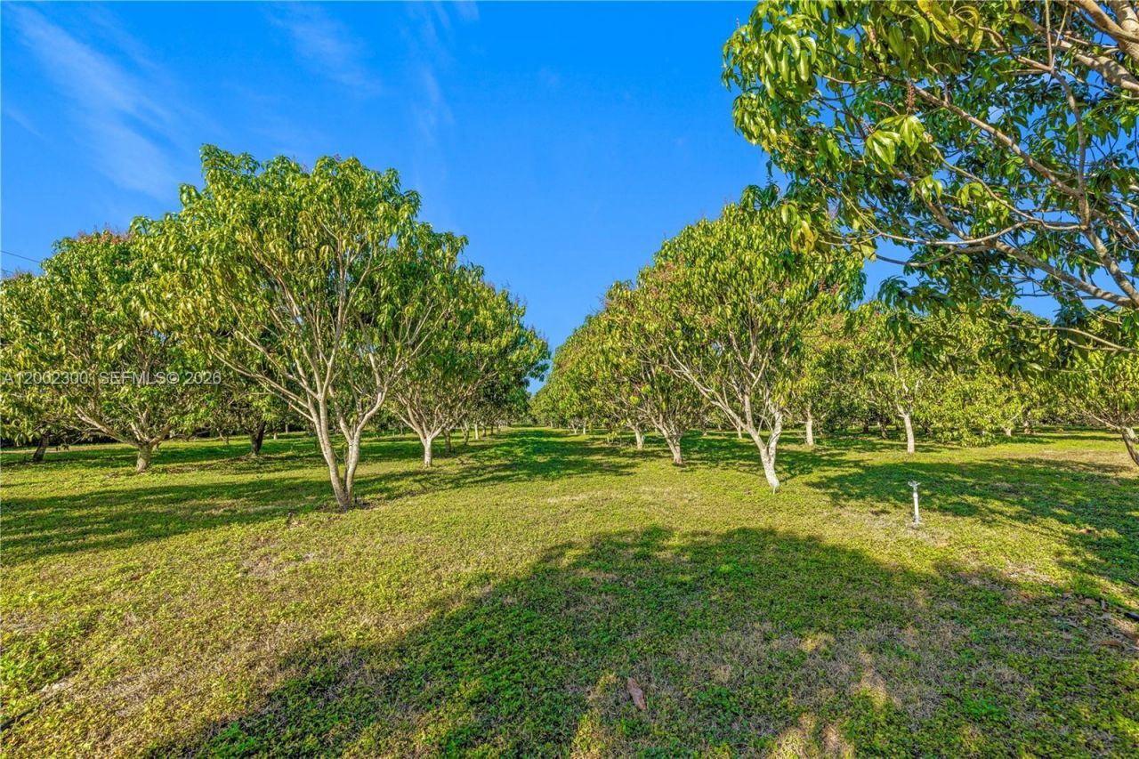 27950 SW 182nd Ave, Homestead, FL 33031 Photo