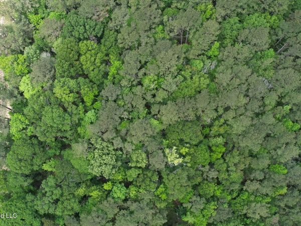 2538 Us-98, Smithdale, MS 39664