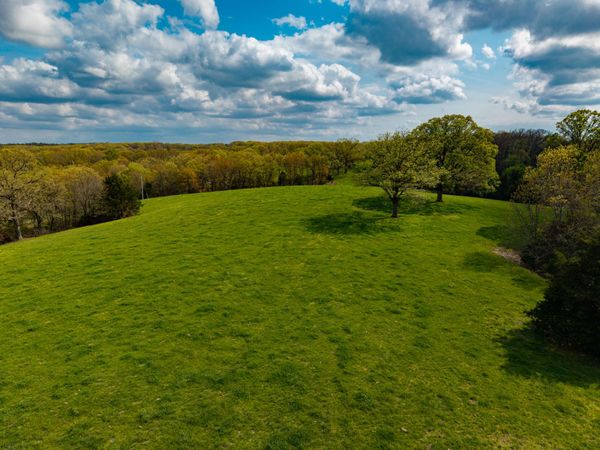 382 Iorg Lane, Sparta, MO 65753